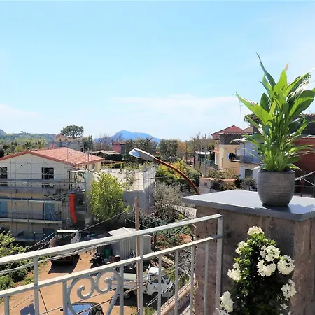 Mary's - De Vivo Realty *